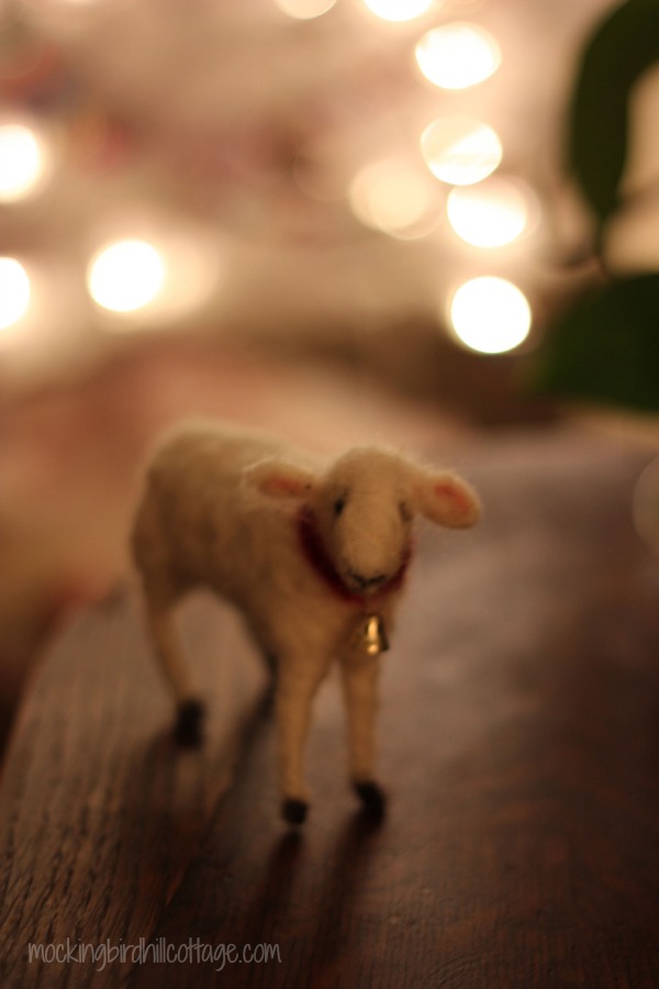 lambbokeh