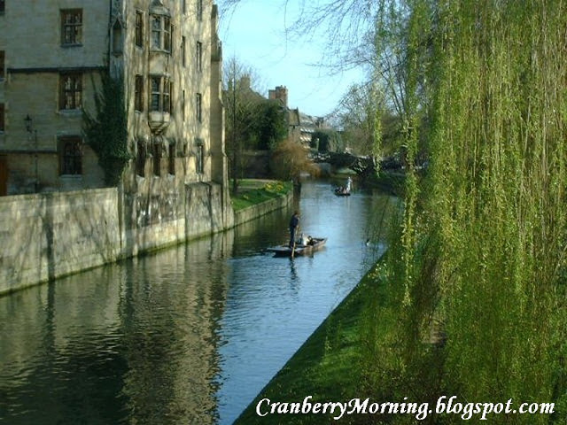 Punting on the canal Cambridge UK 800