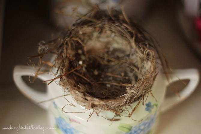 nest