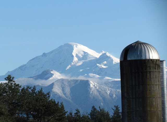 MT BAKER AND SILO