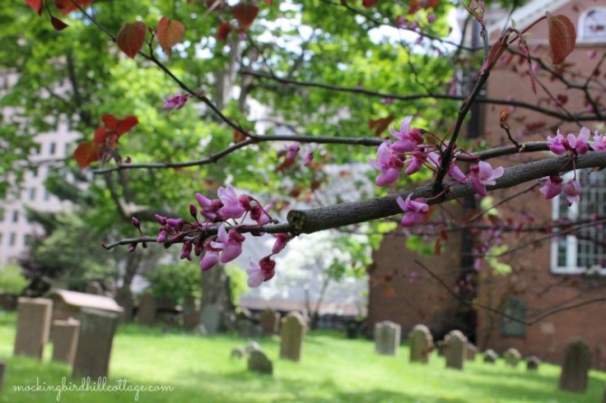 buryinggroundblossoms