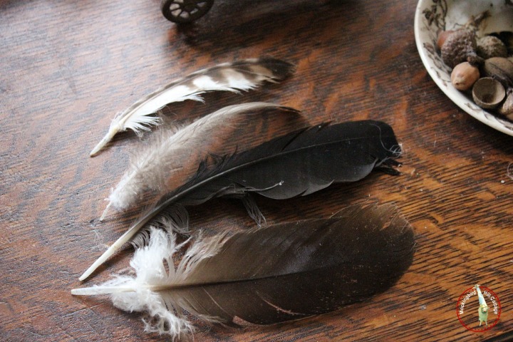 sundayfeathers