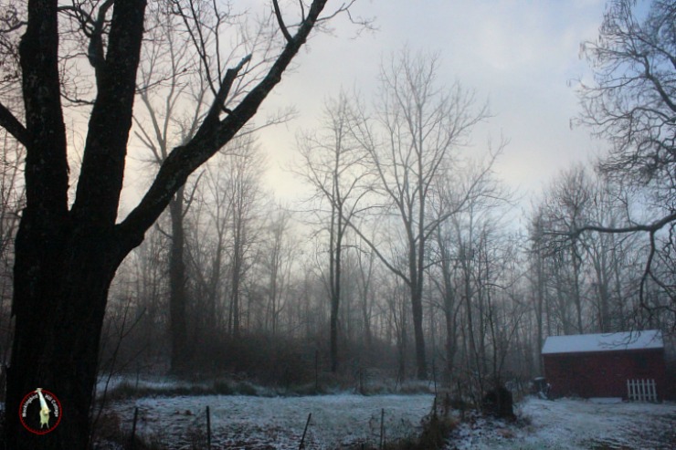 foggy snowy morning