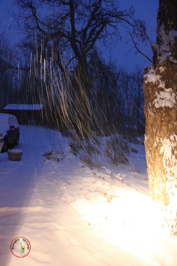 snowyporch