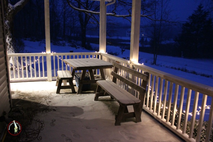 snowyporchlights