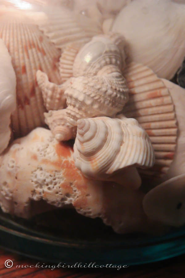 dreamingofseashells