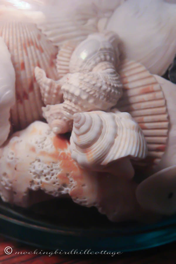 dreamingofseashells2