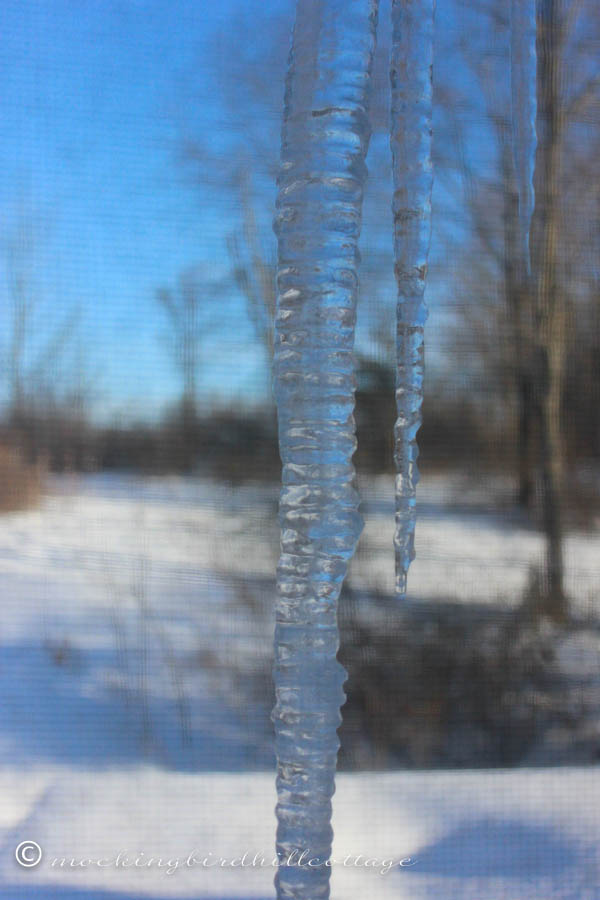 icicle