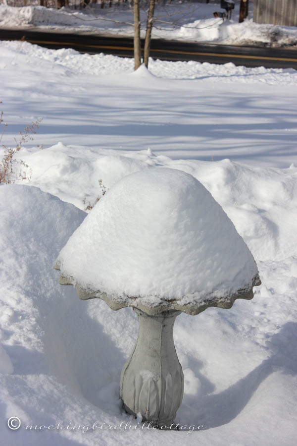 snowybirdbath