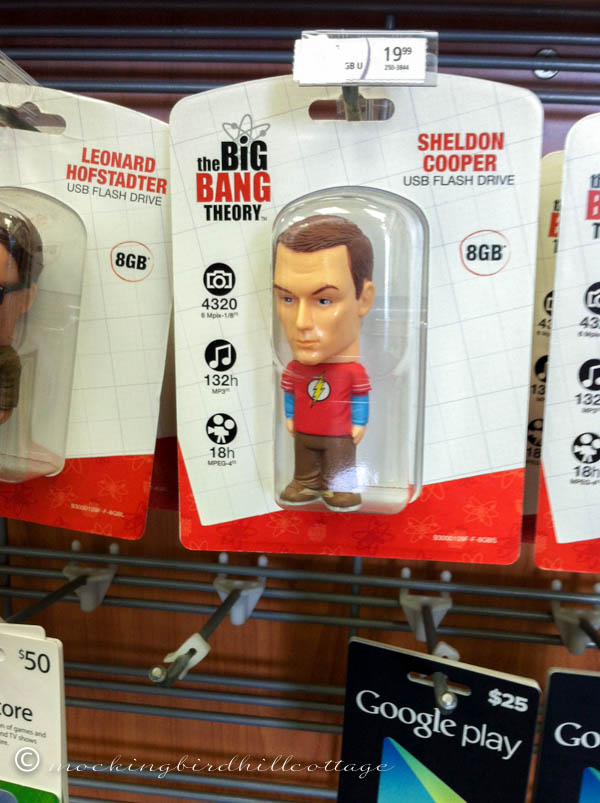 sheldoncooperflashdrive