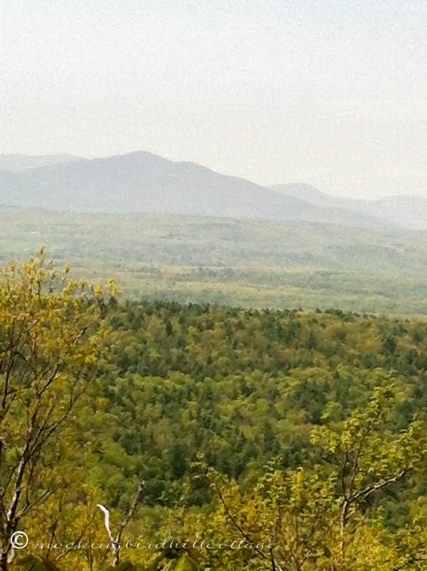 viewofcatskills2