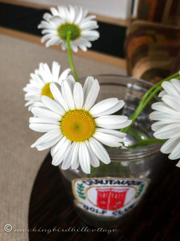 Sunday Cottage daisies