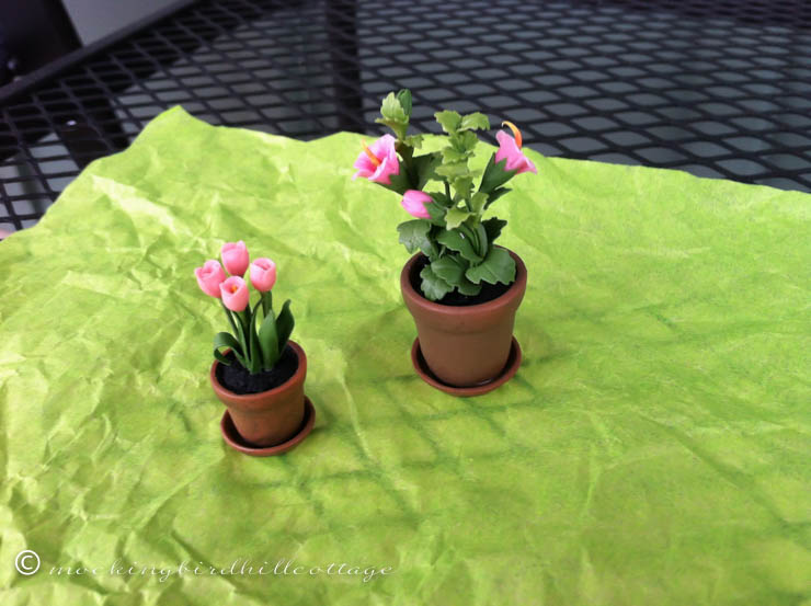 chautauqua-miniatures-pottedplants