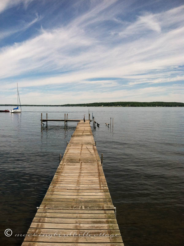 morning-on-the-lake-heron-distance