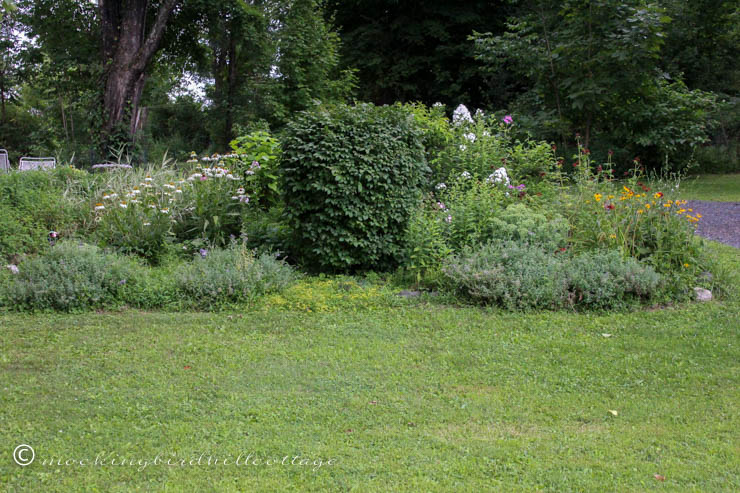 big garden bed in July