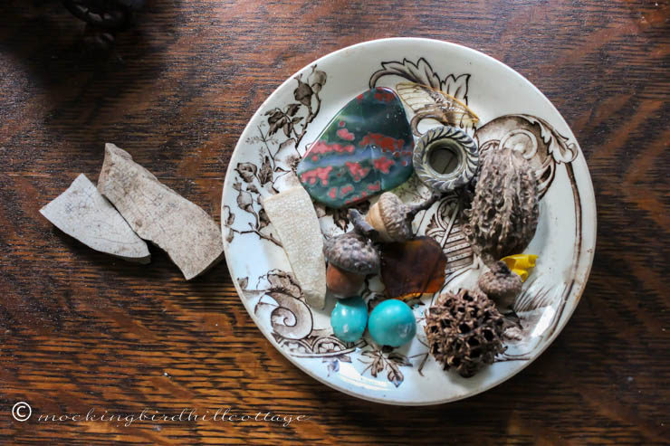 plate of curiosities