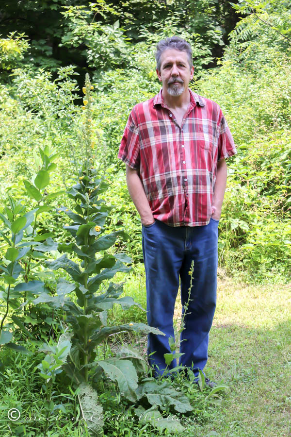 sunday-don-mullein