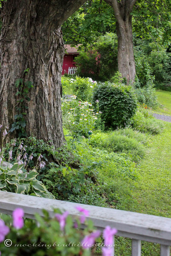 view from the porch