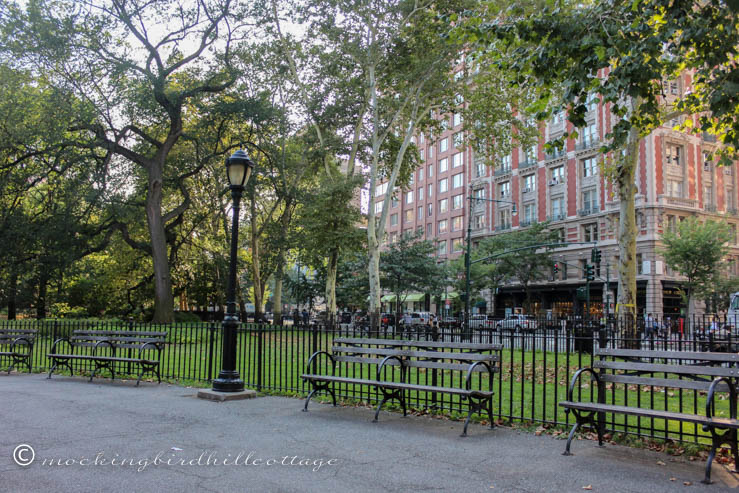 WED Roosevelt Park