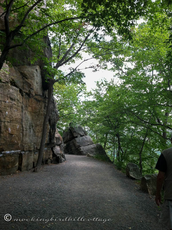 aug friday rocky path