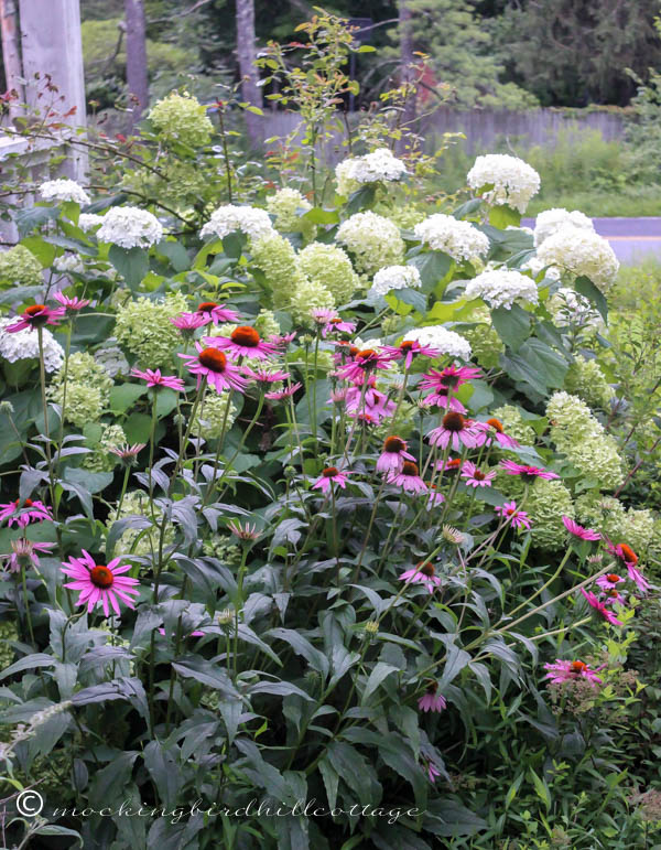 side of the porch garden