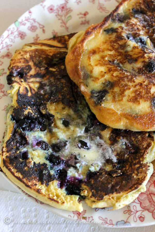 vegan blueberry pancakes - blog