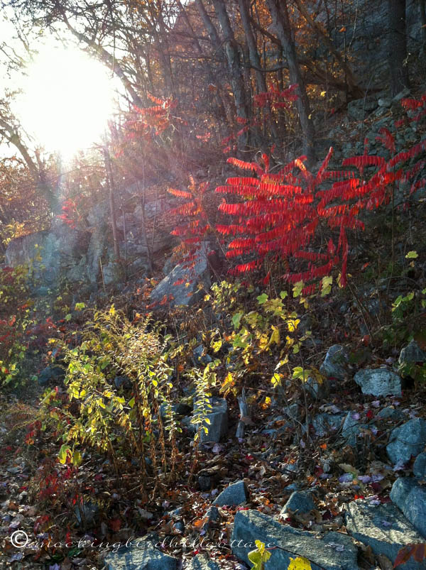 Fall hike 2