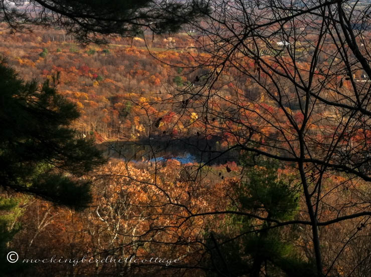 Fall hike 3