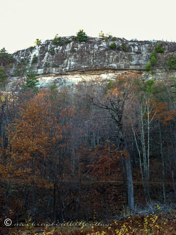 Fall hike 5