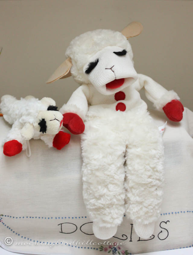 lamb chop 1