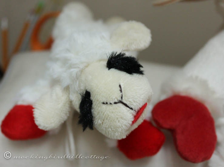 lamb chop 3