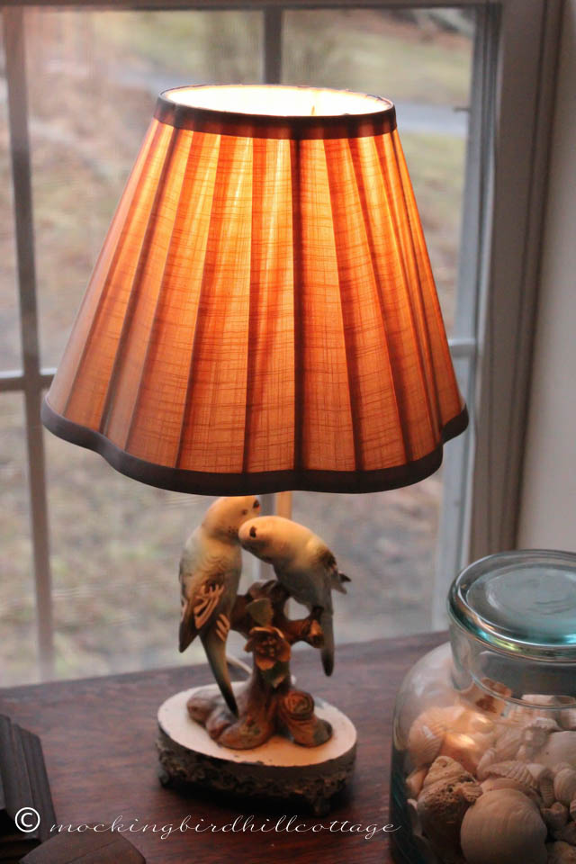 4-9 parakeet lamp