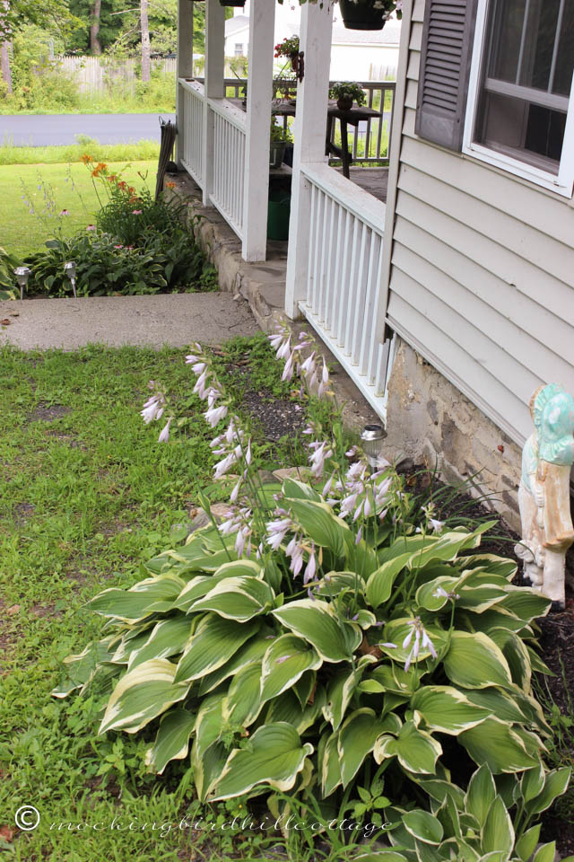 7-20 view of the porch