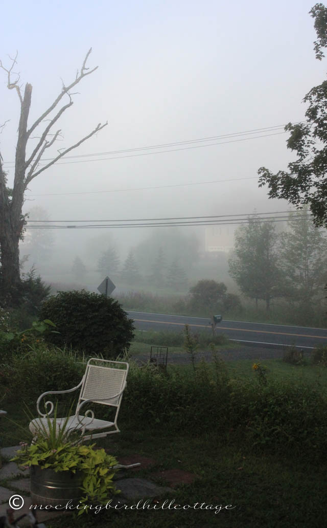 8-27 foggy morning