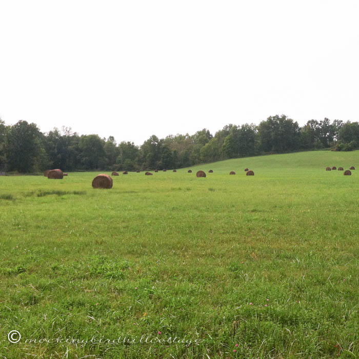 9-1 hay bales