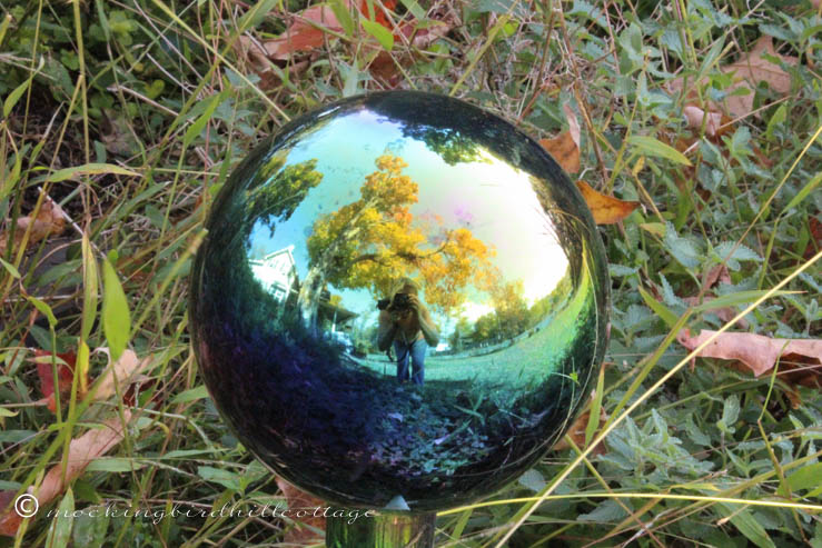 10-14 gazing ball