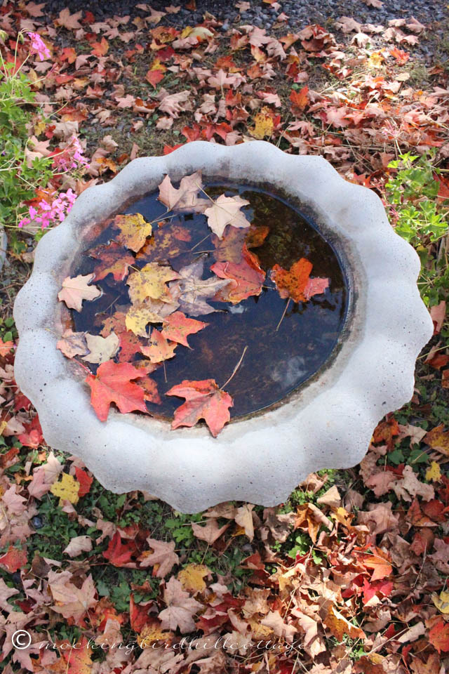 10-15 birdbath