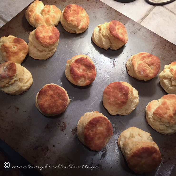 11-27 biscuits