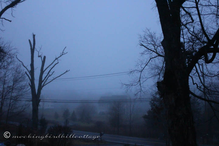 12-23 fog