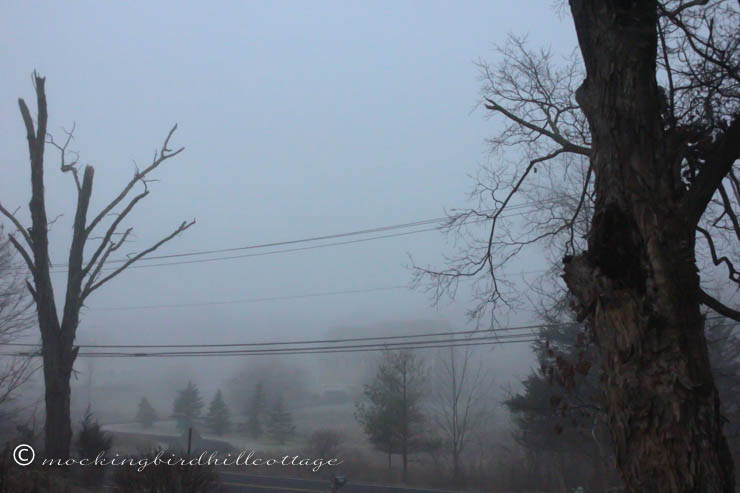 12-6 foggy morning