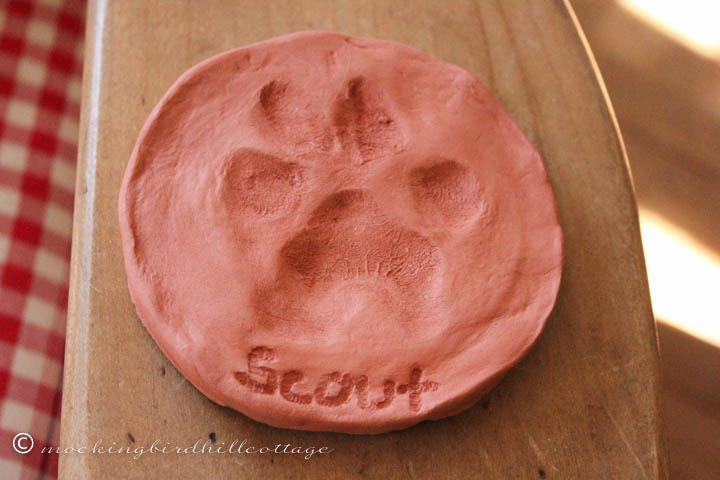 3-3 scout pawprint