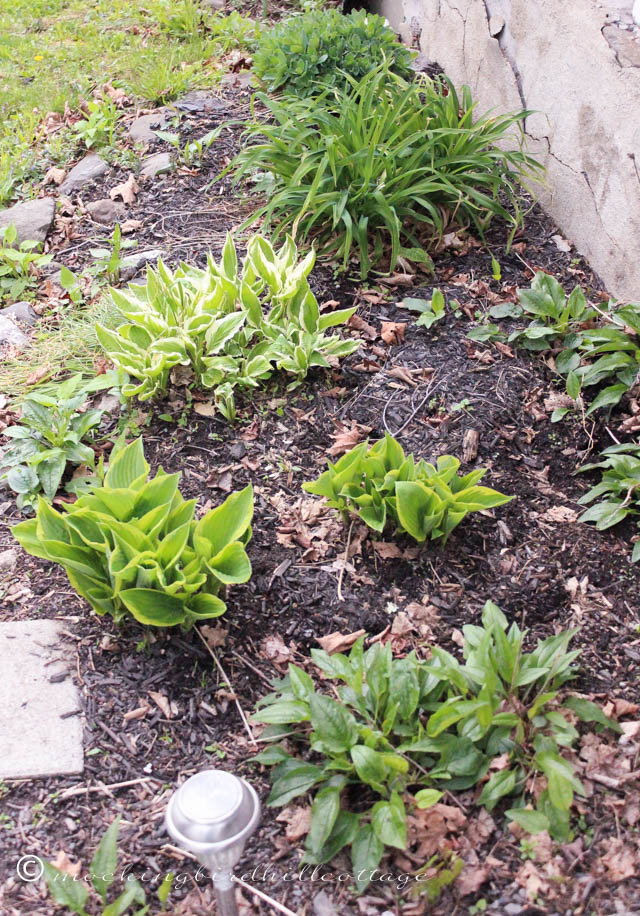 5-2 hostas etc