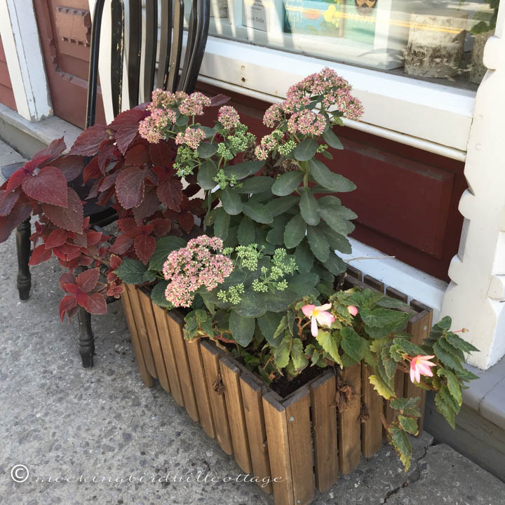 9-6 bookstoreplanter