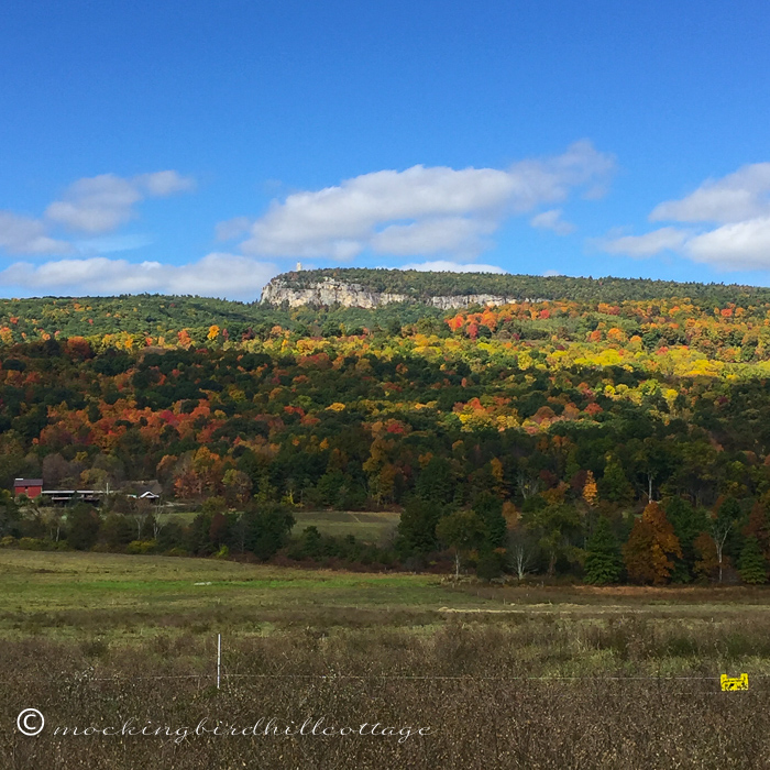 10-13-fallcolors2