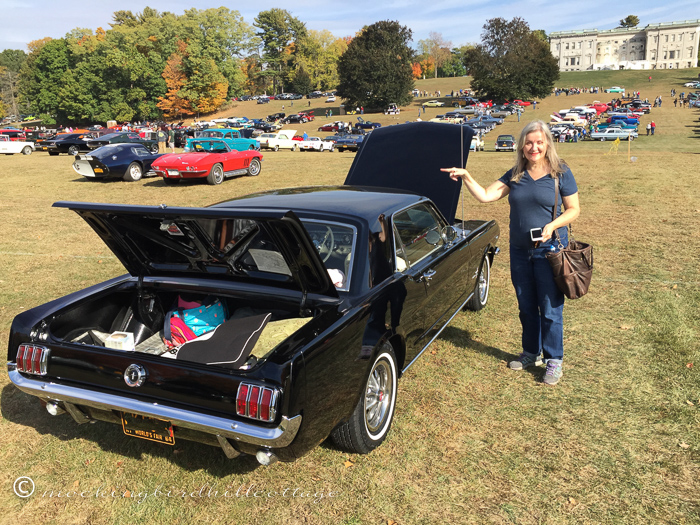 10-17-64mustangandme