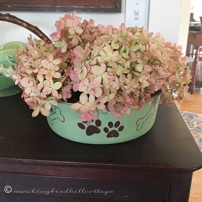 10-28-scoutiesdishwithhydrangeas