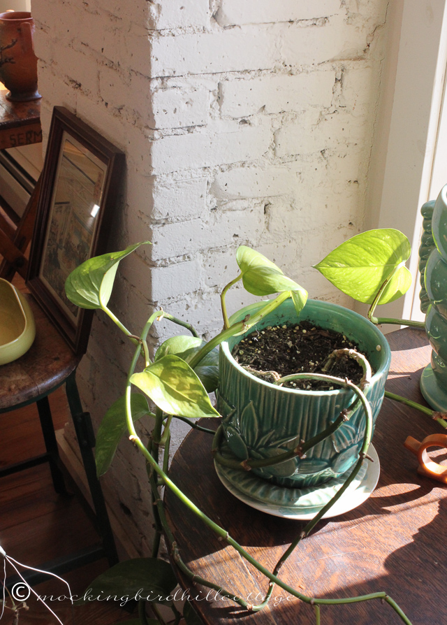 11-20-chimneyandpothos