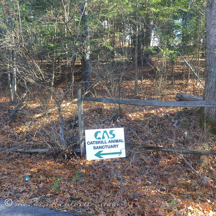 12-3-catskillsign